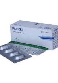 product name