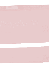 product name