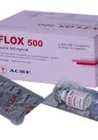 product name