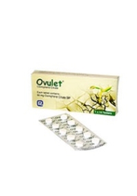 product name