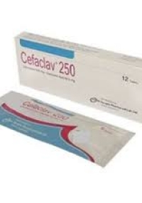 product name