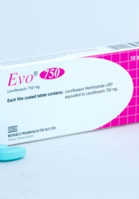 product name