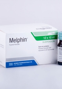 product name