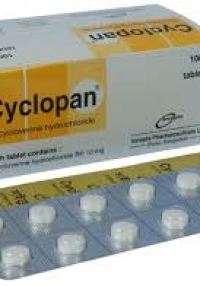 product name
