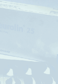 product name