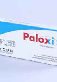 product name
