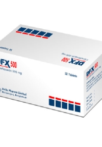 product name