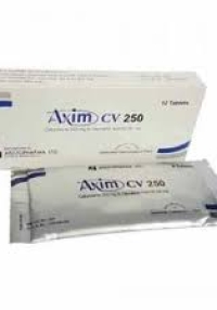 product name